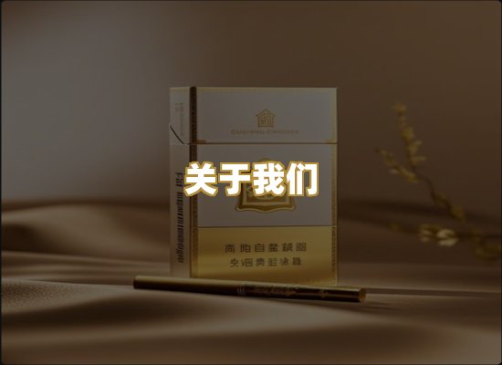 关于我们